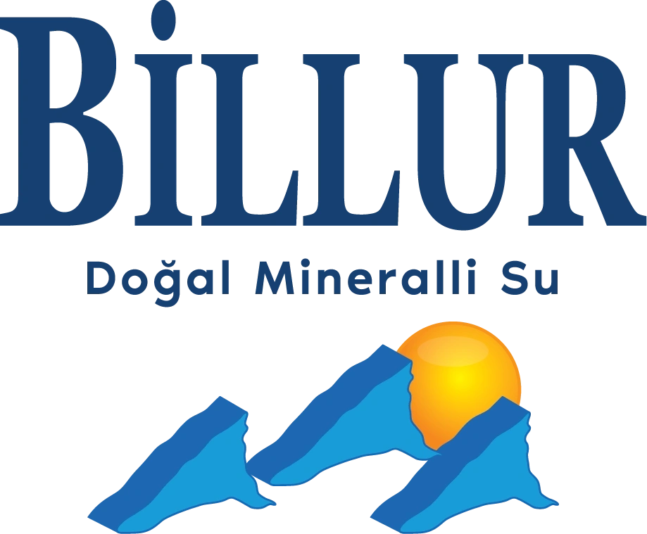 billursu.com logosu
