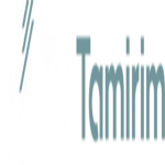 TV Tamirim Logo