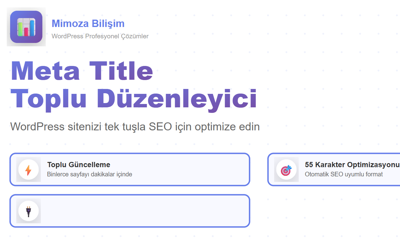 WordPress Meta Title Toplu Düzenleyici