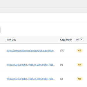 Kırık Link Yöneticisi