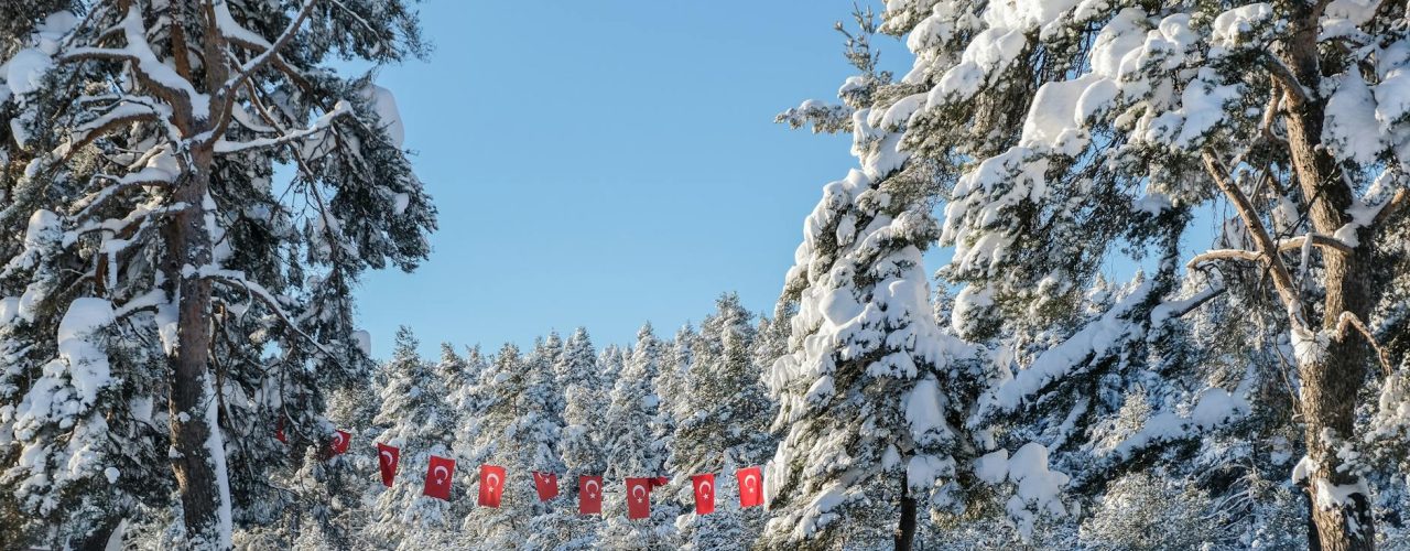 Kastamonu SEO