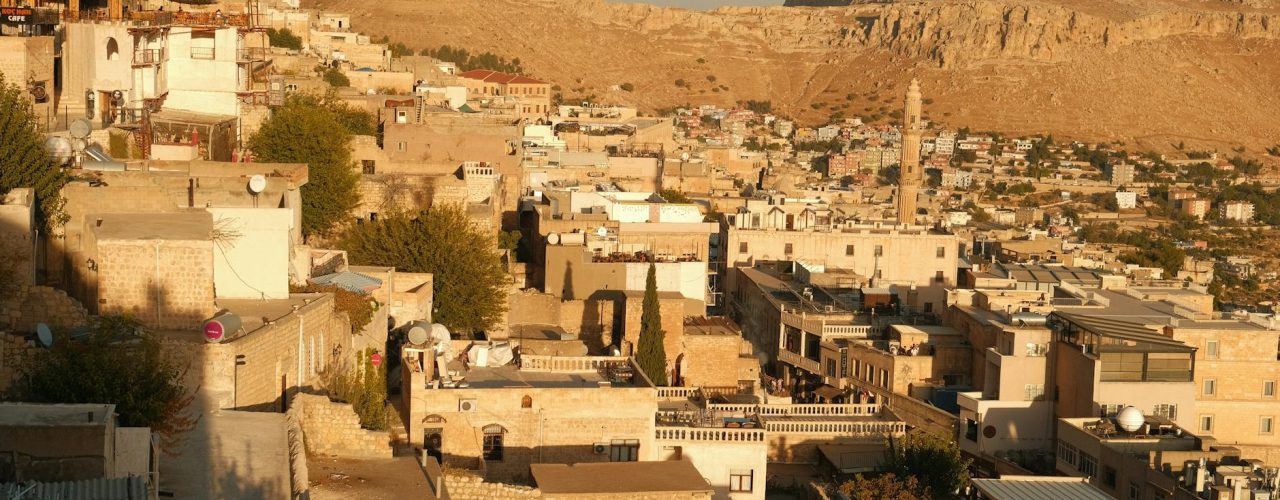 Mardin SEO