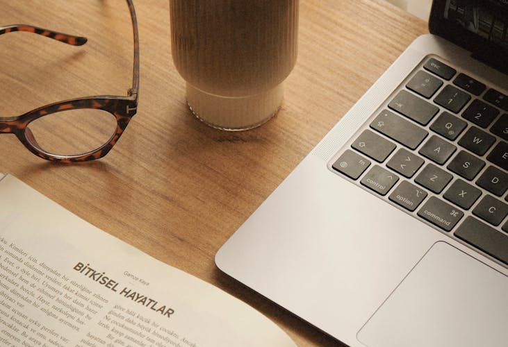 Organik Backlink