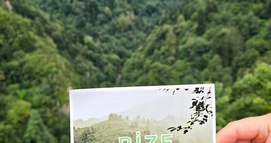Rize SEO