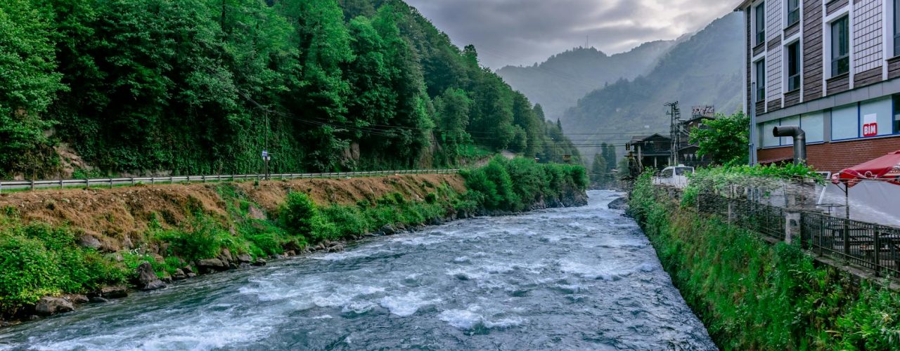 Rize Web Tasarım