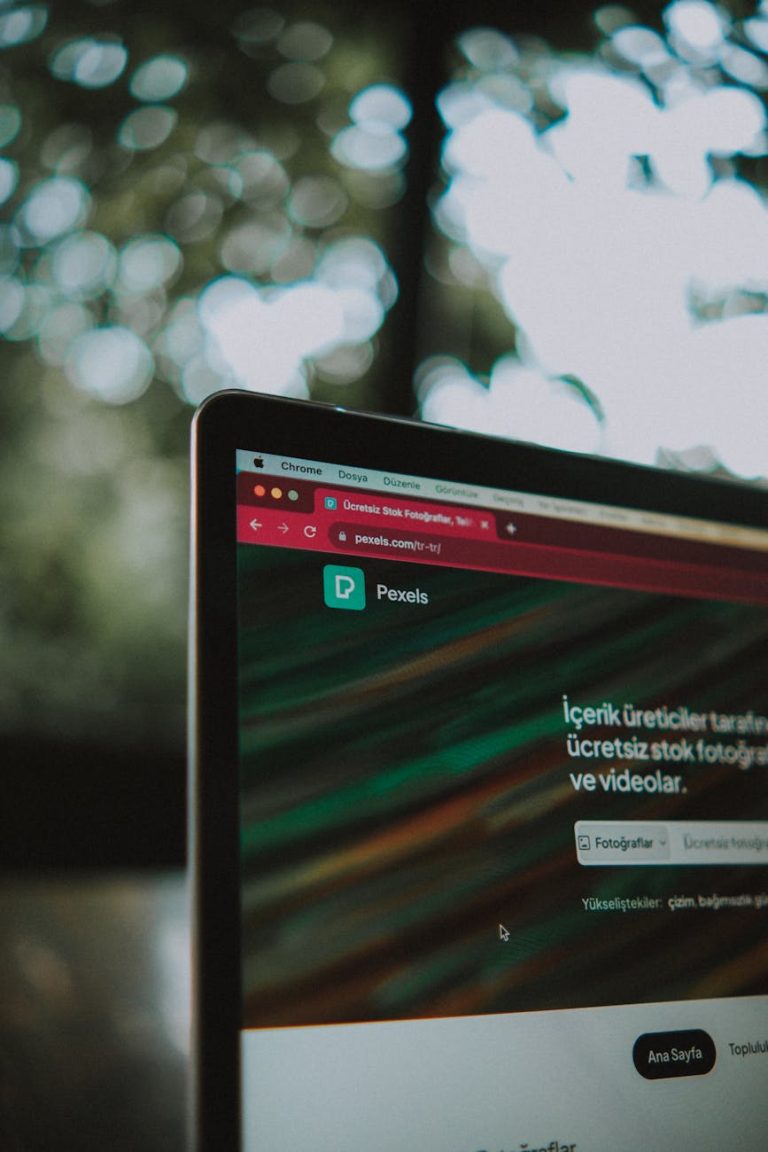 Ücretsiz Backlink - Mimoza Bilişim