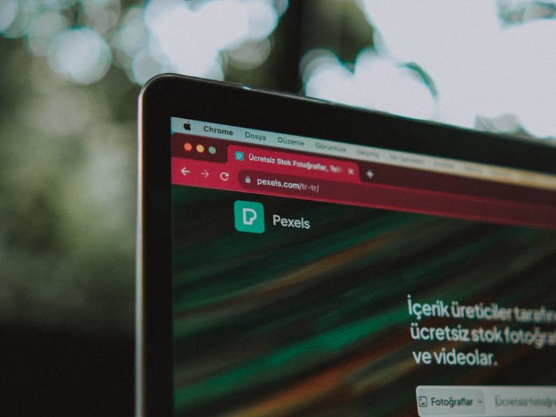 Ücretsiz Backlink