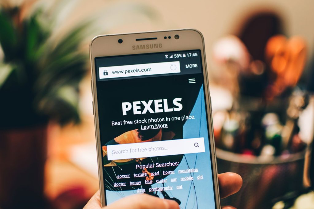 alt etiketi gorsel seo